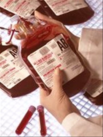 transfusion4